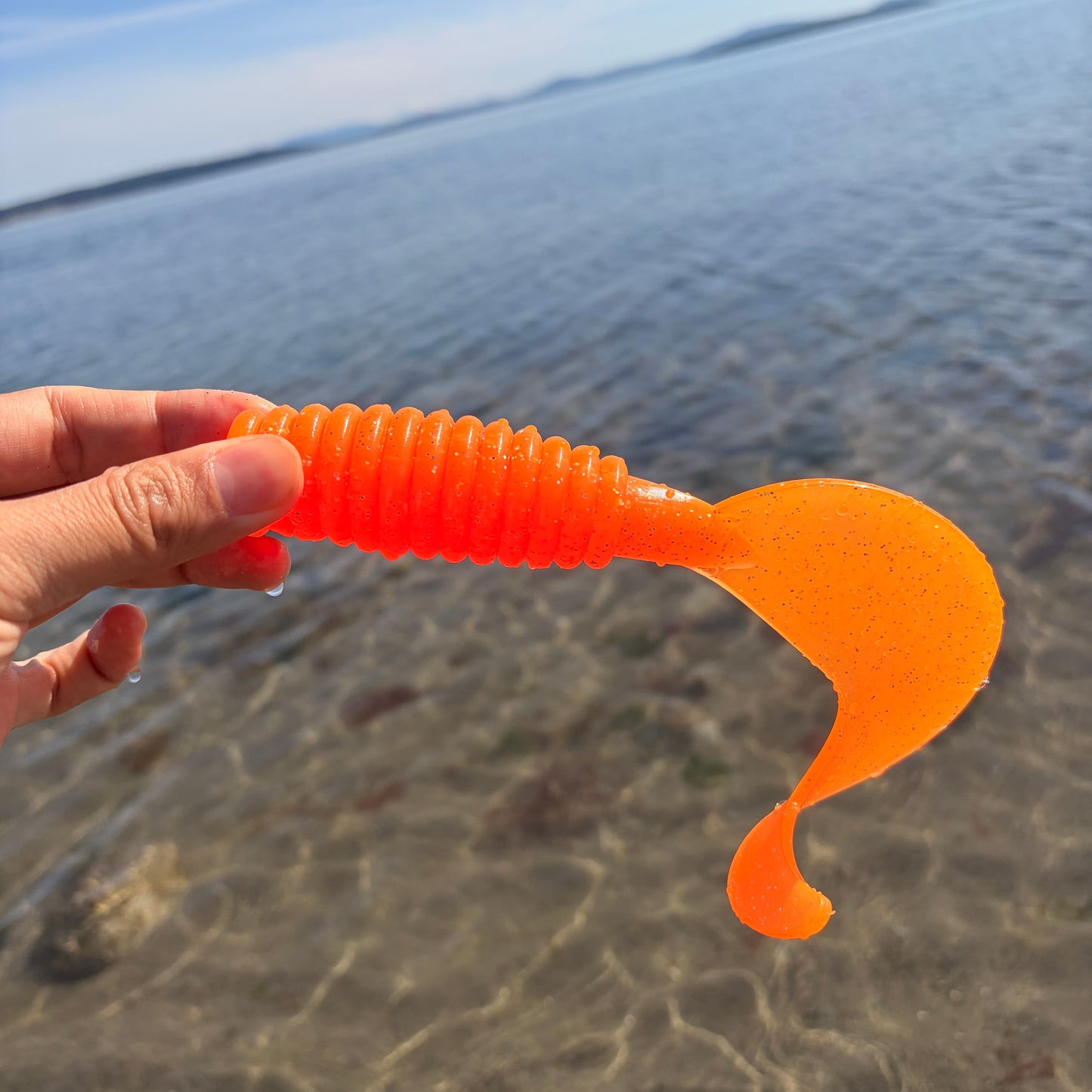 3 Pack Large Size Curly Tail Grub