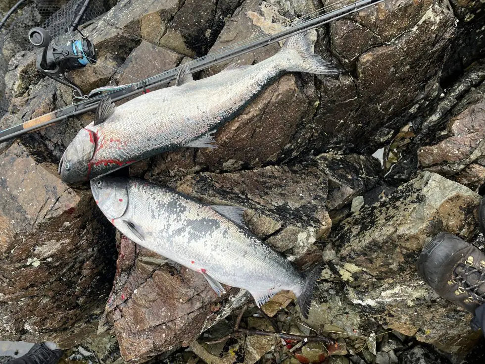 Shore Jigging Tips for Salmon (Vancouver Island Guide)
