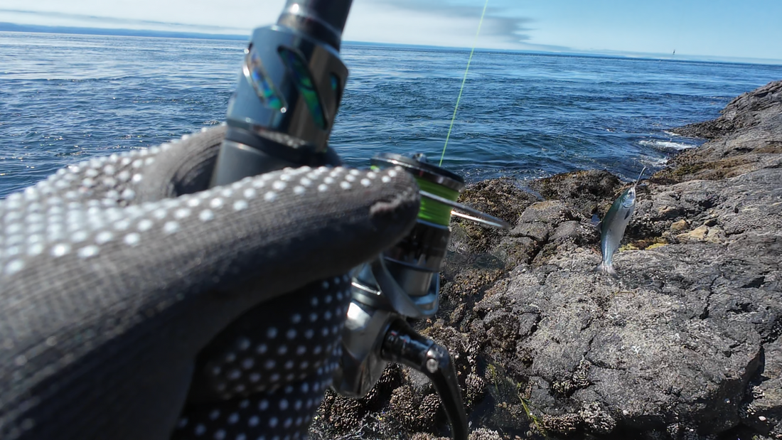 Shore fishing spots for salmon near Victoria, BC