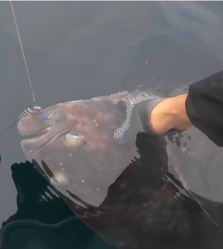 Halibut Fishing Around Vancouver Island: Why Understanding Behavior Trumps Gea